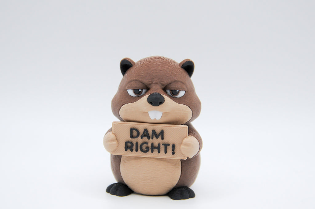 Beaver holding a Dam Right sign