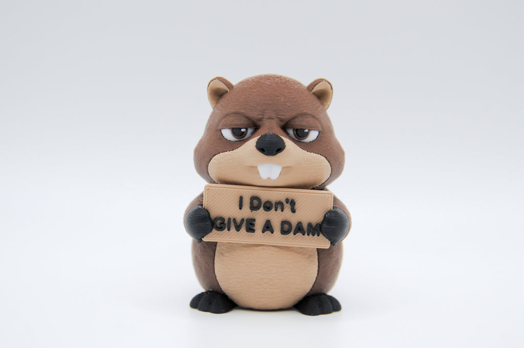 Beaver holding an I Don't Give a Dam sign