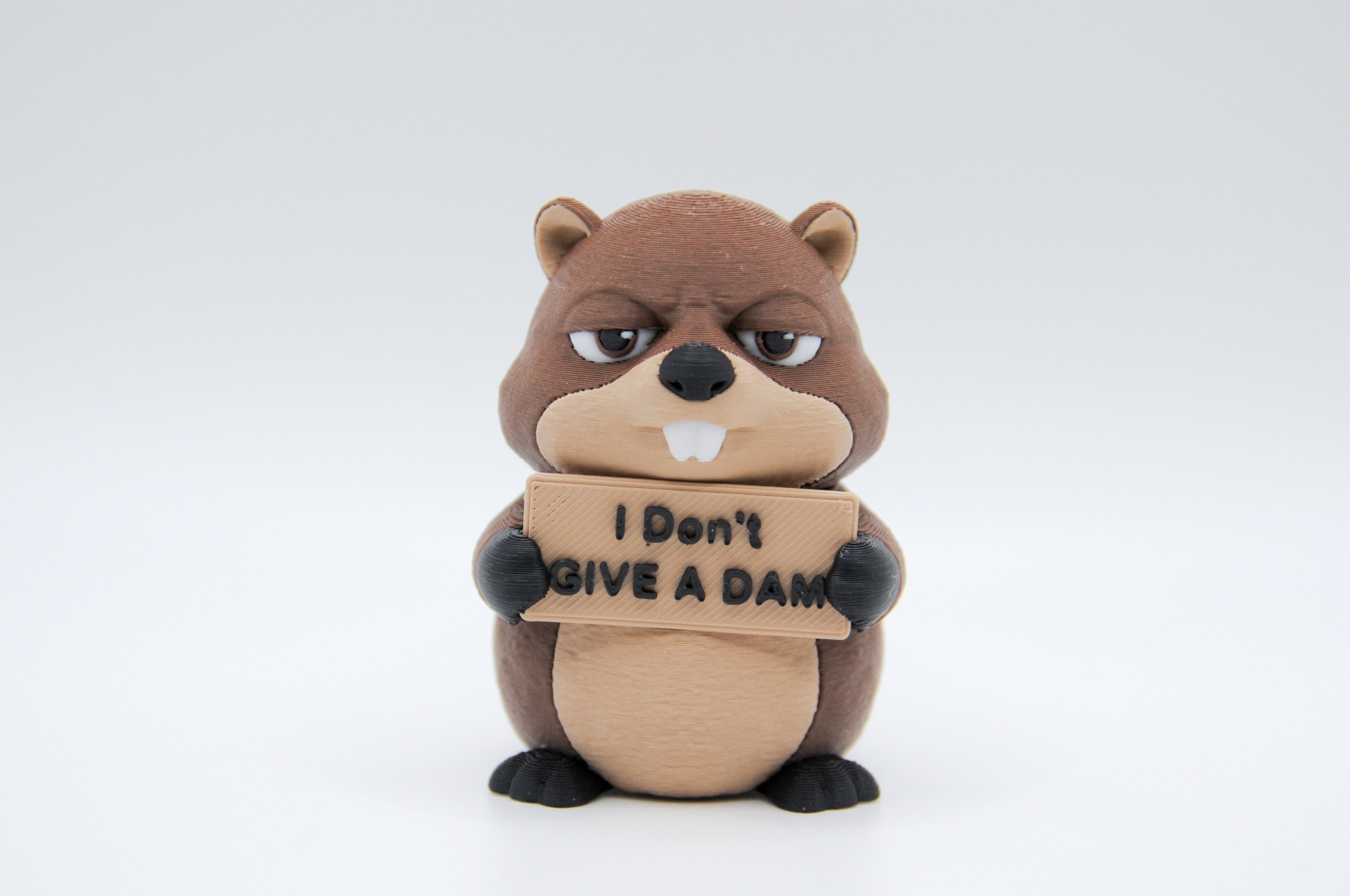Beaver holding an I Don't Give a Dam sign
