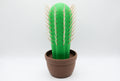 Green cactus toothpick holder in a brown pot