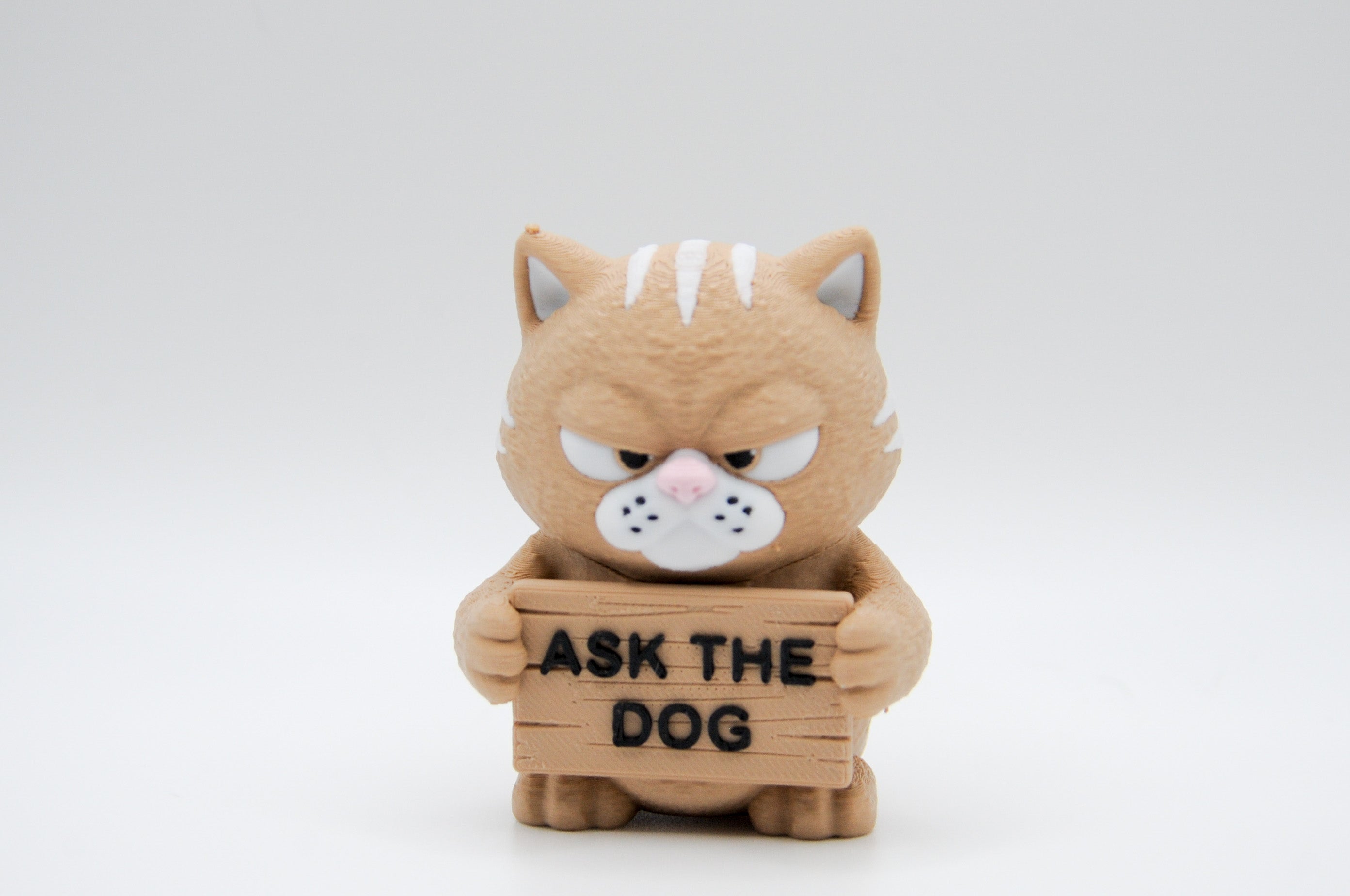 Grumpy cat holding an Ask the Dog sign