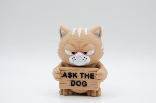 Grumpy cat holding an Ask the Dog sign