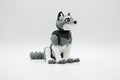 Gray and white wolf figure seated with tail curled beside it