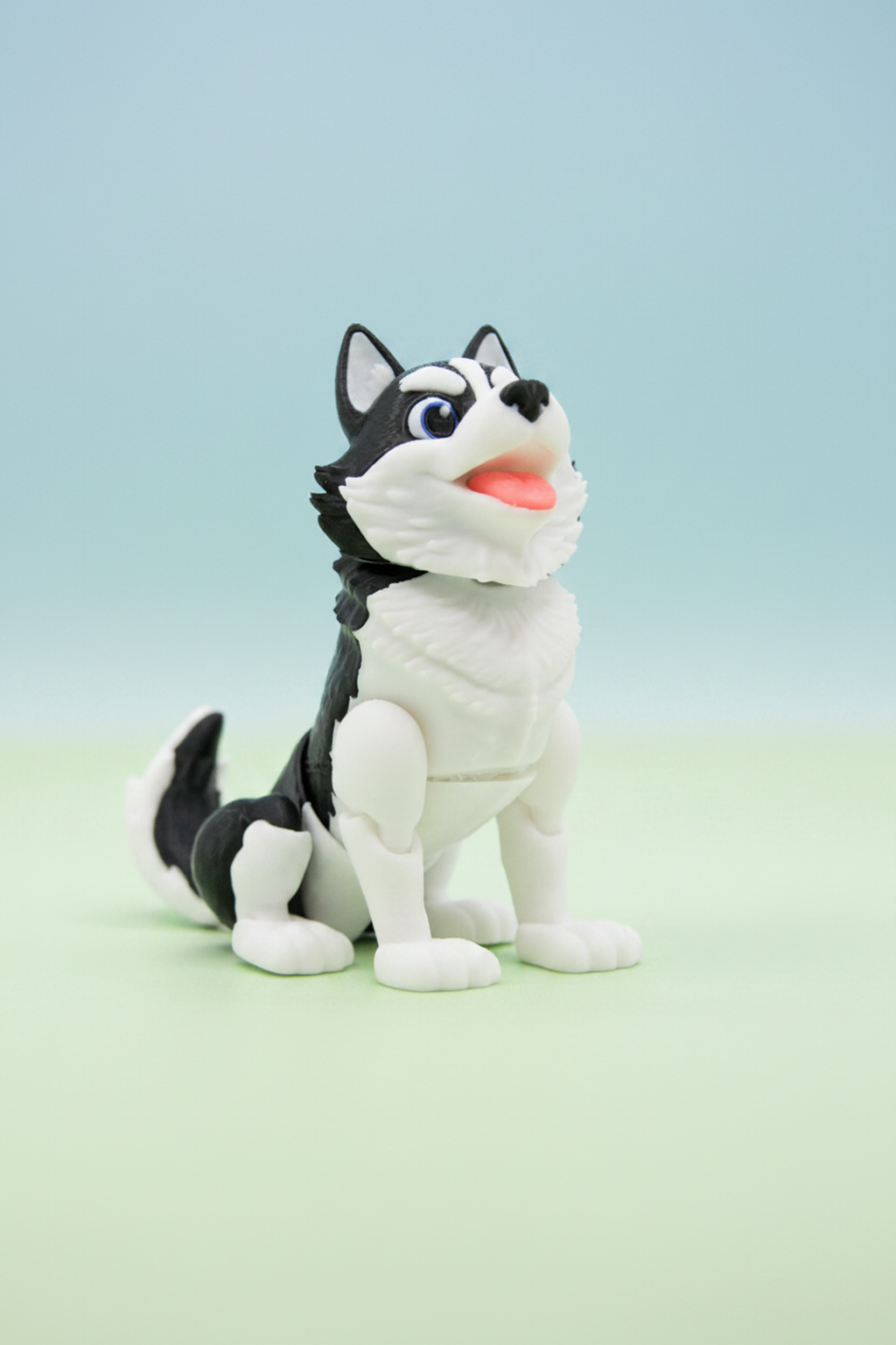 Portrait view of a black and white husky on a blue and green background