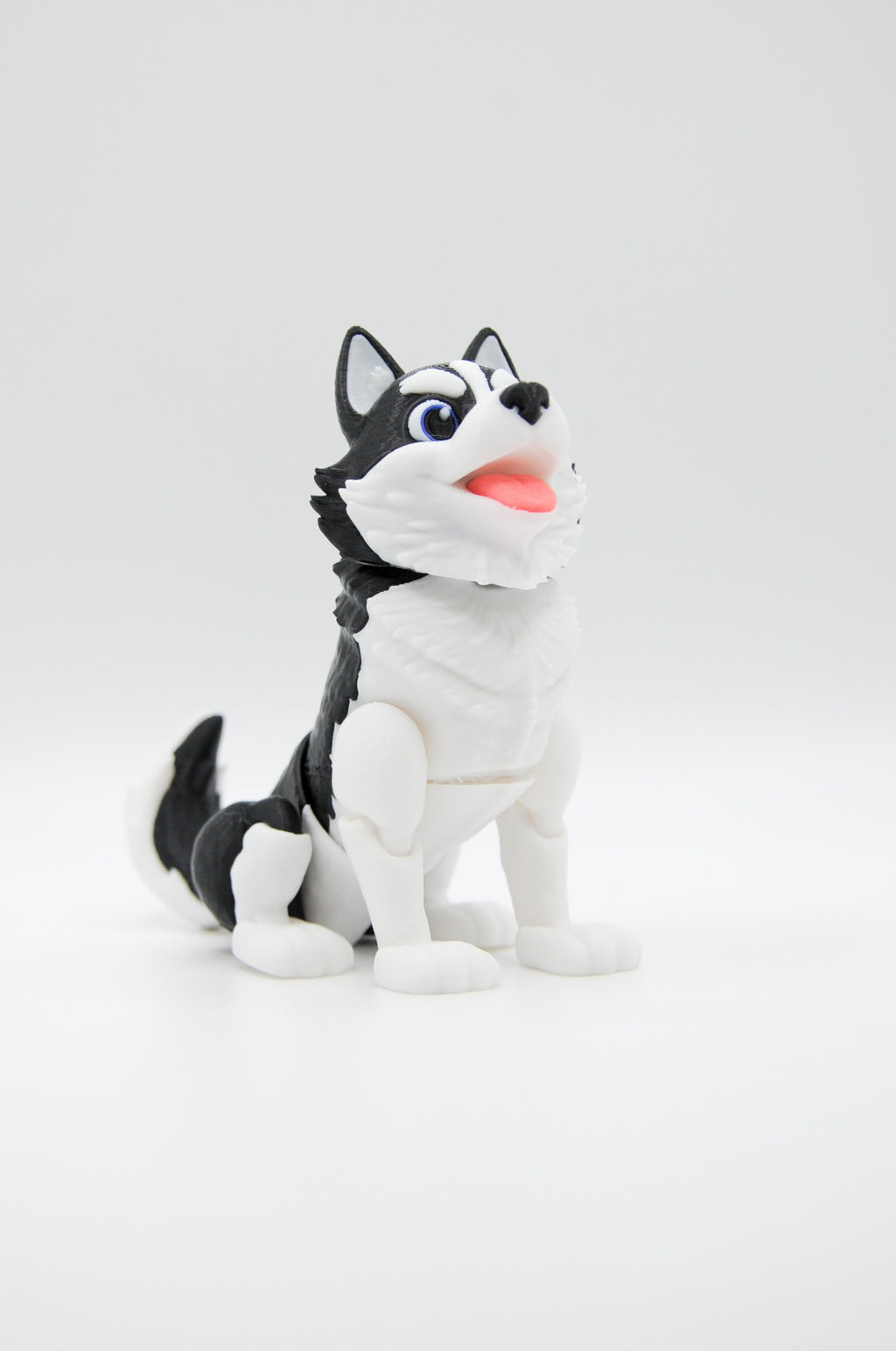 Portrait view of a seated black and white husky figure
